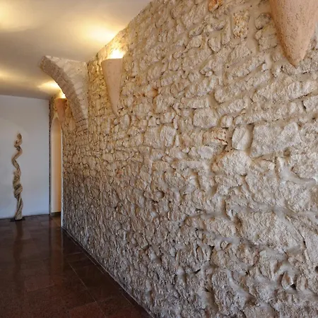 Western Du Roy D'aragon