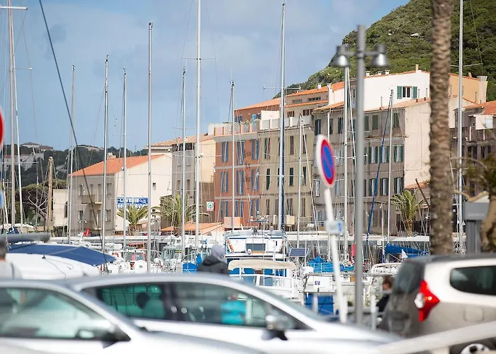 Western Du Roy D'aragon